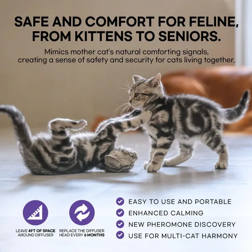 Miniatura 6 de Difusor calmante de feromonas para gatos: kit de 2 difusores y 2 recambios de valor superior - Difusor calmante para gatos ayuda a reducir arañazos