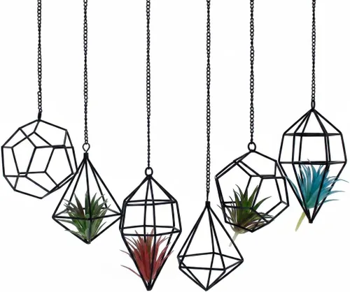 Miniatura 3 de Paquete de 6 soportes geométricos para colgar en la pared, decoración Tillandsia de metal negro para estilo bohemio, hogar, oficina y estantes