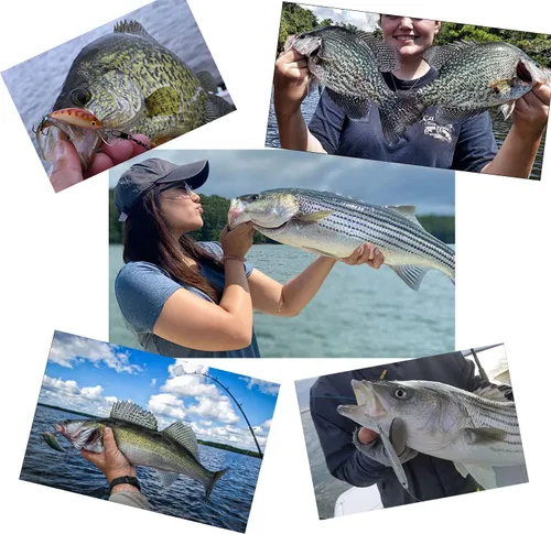 Miniatura 6 de Carolina Rigs para pesca, líderes de pesca de acero de 12 pulgadas con peso de pesca, aparejos Carolina preaparejados con peso de pesca de 1/6