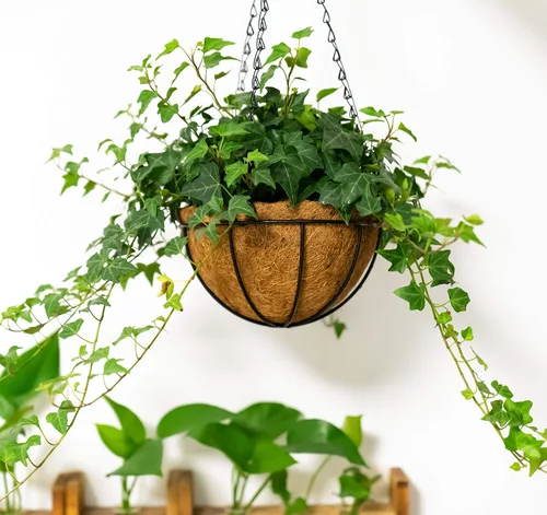 Miniatura 2 de Kingbuy - Cesta colgante para flores o plantas, con cadena, para la casa o el balcón, elemento decorativo