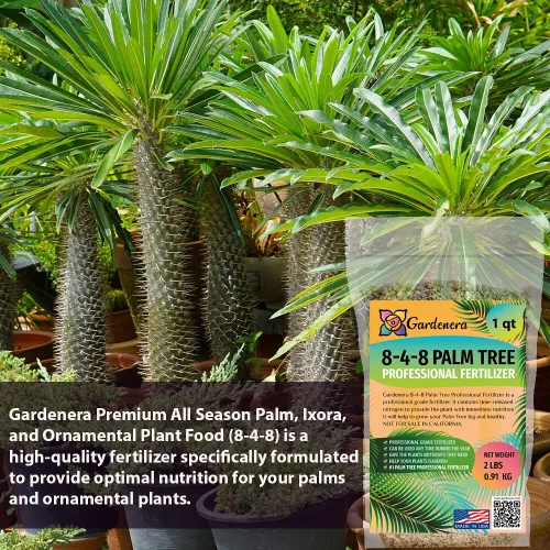 Miniatura 2 de Fertilizante profesional de palmeras prémium 8-4-8 Plantas en macetas de interior y palmeras de paisaje al aire libre Fertilizante nitrogenado