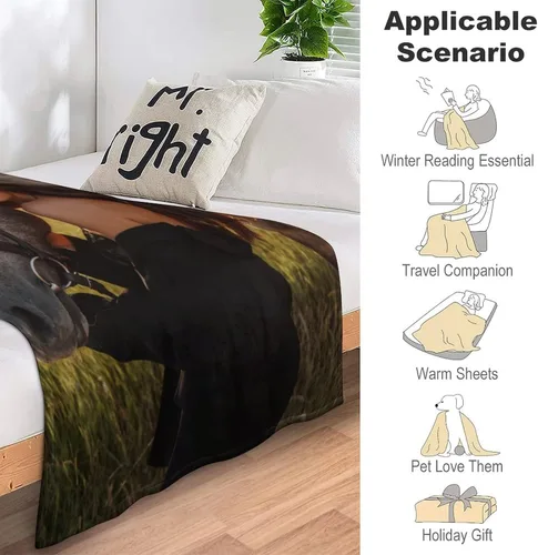 Miniatura 4 de D-Story Manta personalizada con fotos, manta de fotos personalizada con cualquier texto, manta de forro polar personalizada para cama, sofá