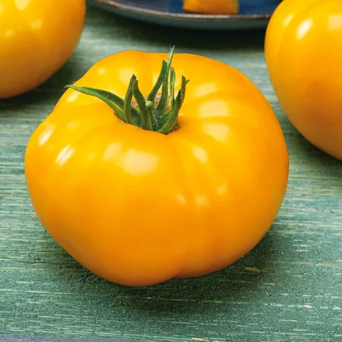 Miniatura 14 de Eden Brothers Semillas de tomate – Semillas de caqui sin OMG para plantar, paquete Semillas de vegetales de bajo mantenimiento, plantas durante