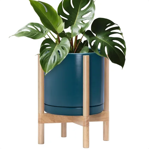 Miniatura 93 de D'vine Dev Maceta de cerámica con soporte de ébano – Maceta redonda moderna de 8 pulgadas con soporte para maceta de madera, color negro, 55-B-M-2