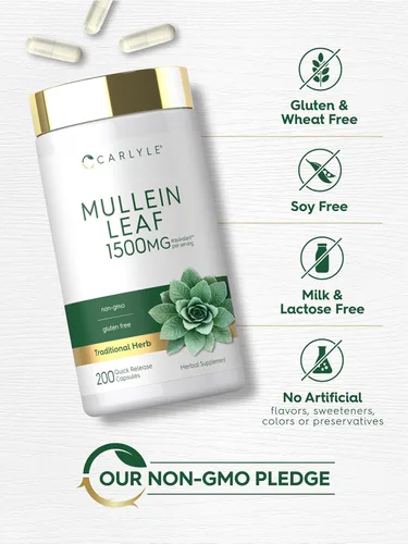 Miniatura 5 de Carlyle Extracto de hoja de gordolobo 200 cápsulas Verbascum Thapsus Suplemento sin OMG, sin gluten