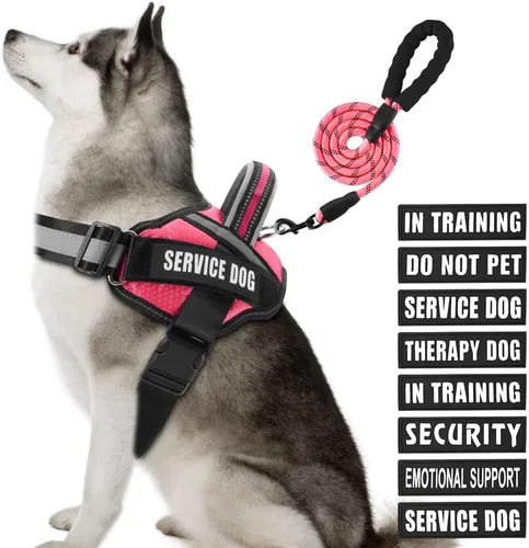 Miniatura 53 de Juego de arnés y correa para perro de servicio, arnés de entrenamiento para perro Animire con 10 parches para perros, correa reflectante para perro