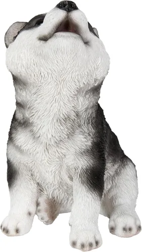 Miniatura 3 de Husky Siberiano Cachorro Aullando