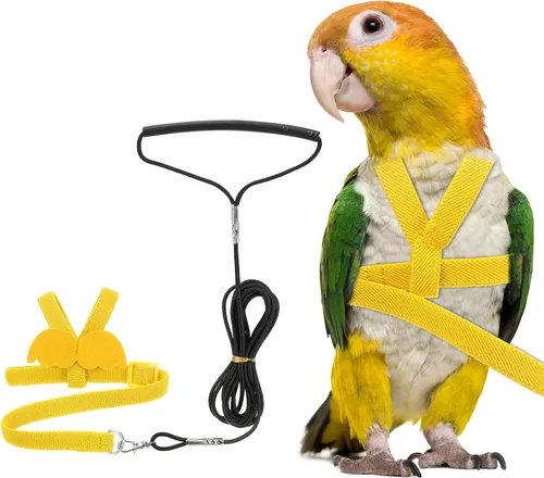 Miniatura 10 de Correa de arnés para pájaros, arnés ajustable para pájaros y loros para mascotas, ligera, antimordeduras, cuerda de entrenamiento de vuelo con linda
