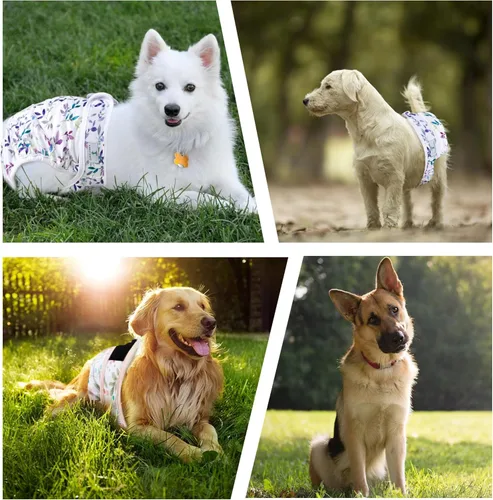 Miniatura 4 de Pañales Lavables para Perras Hembras Paquete de 3, Pañal Reutilizable para Perrita, Pañal para Perro Altamente Absorbente, Pañales Ajustables a