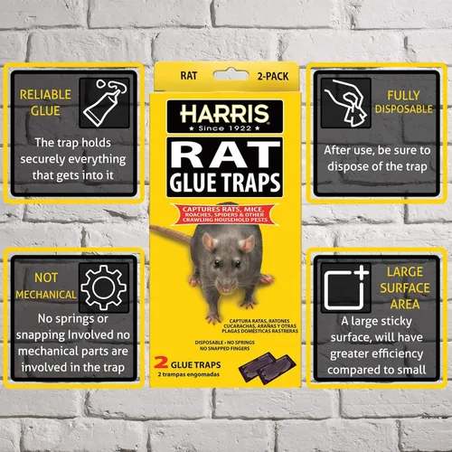 Miniatura 3 de Harris Trampas de pegamento para ratas, totalmente desechables (paquete de 2)