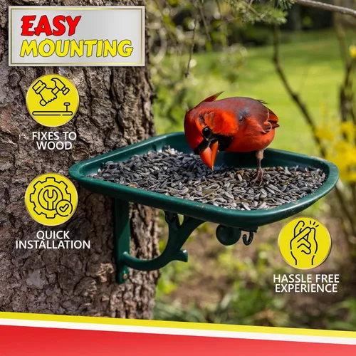 Comedero para pájaros al aire libre, bandeja para pájaros silvestres y ardillas para exteriores, cardenal, pinzón, cardo, pájaro carpintero, pájaro