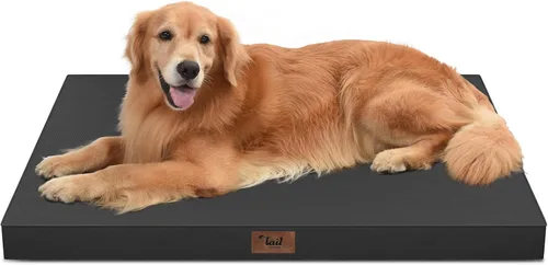 Miniatura 96 de Cama ortopédica de felpa para perros y cachorros medianos, camas impermeables para perros de 30 x 20 pulgadas con funda extraíble lavable, tapete