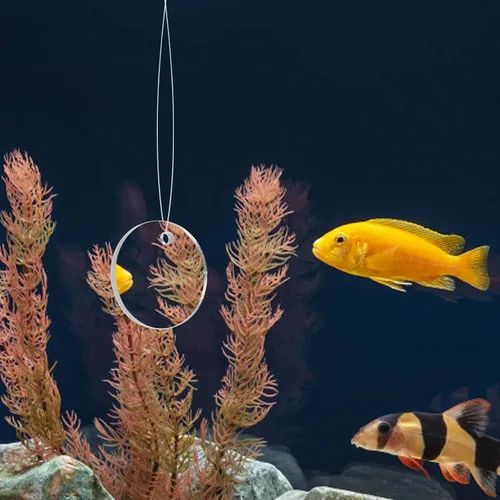 Miniatura 8 de POPETPOP Espejo de entrenamiento de peces Betta de 1.96 pulgadas, espejo de acuario acrílico flotante para juguete de ejercicio Betta adecuado
