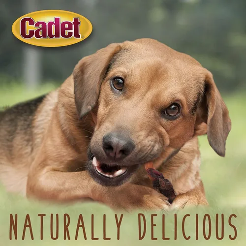 Miniatura 5 de Cadet Envolturas Gourmet de Batata y Pollo Masticables de Ingredientes Limitados para Perros, Golosinas de Entrenamiento Saludables y Naturales