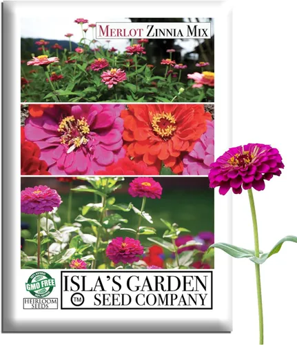 Zinnia Merlot Mix - Semillas de flores para plantar, más de 200 semillas de flores por paquete, meteorito, príncipe morado y escarlata llama,