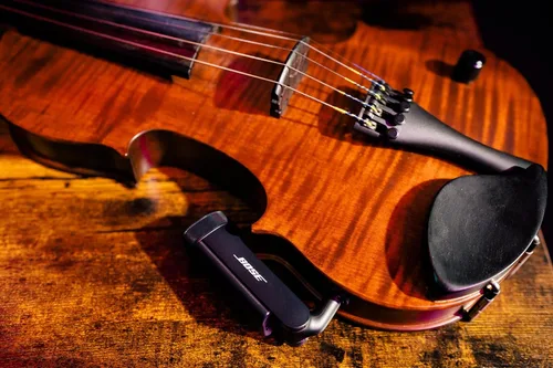 Miniatura 5 de Bose Transmisor de instrumentos inalámbrico de ¼" para sistema PA S1 Pro+