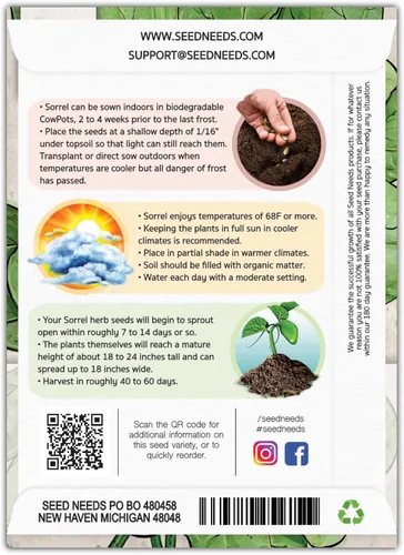 Miniatura 2 de Seed Needs, Semillas de acedera de hoja grande, 500 semillas tradicionales para plantar Rumex acetosa, hierba medicinal o culinaria sin OMG y sin