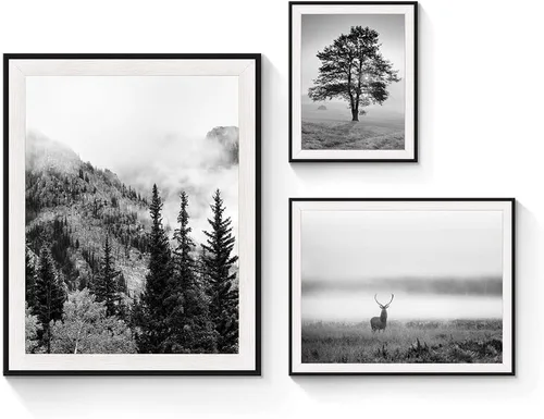 Miniatura 8 de Arte de pared enmarcado con vista rústica: 3 piezas de granja en blanco y negro, vaquero brumoso, granero, fotografía, moderno, molino de viento