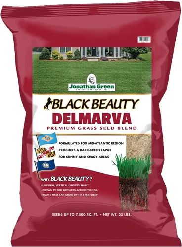Jonathan Green (10392) Black Beauty Delmarva - Semilla de césped (hecha para Maryland, Delaware, Virginia), semillas de césped de temporada fría (25