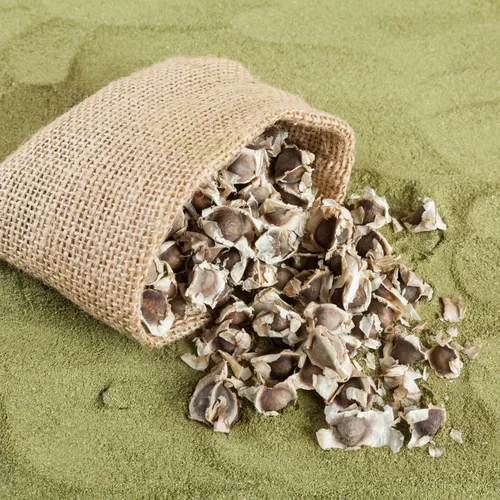 Miniatura 5 de 100 semillas de moringa para plantar, semillas de plantas vegetales de Moringa Oleifera para jardinería al aire libre