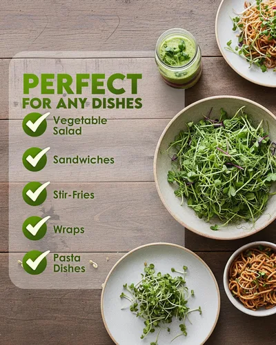 Miniatura 6 de Nature Jims Sprouts Semillas de brócoli orgánicas para germinar, certificadas sin OMG, ricas en sulforafano, semillas microverdes de crecimiento