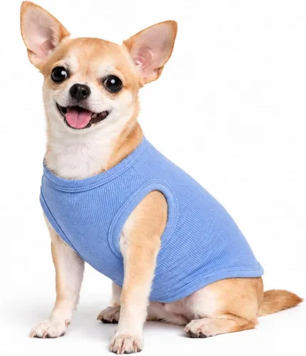 Miniatura 46 de Lovelonglong Ropa para mascotas de verano 2019, ropa para perro, camisetas en blanco, camisetas acanaladas, chalecos de hilo superior para perros