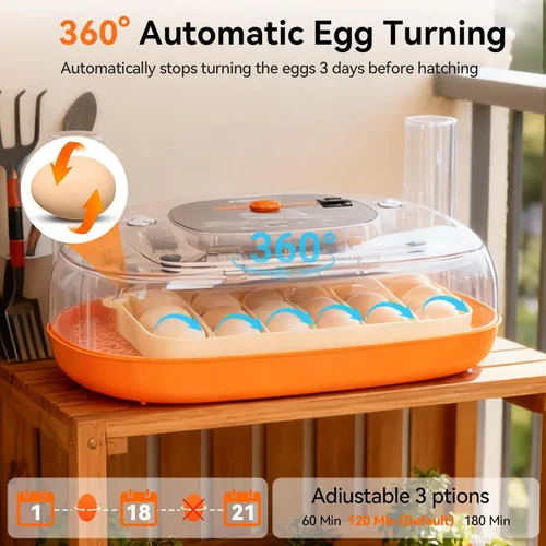 Miniatura 2 de Incubadoras para incubar huevos, incubadora de 24 huevos, girador automático de huevos con control de humedad y temperatura digital, día