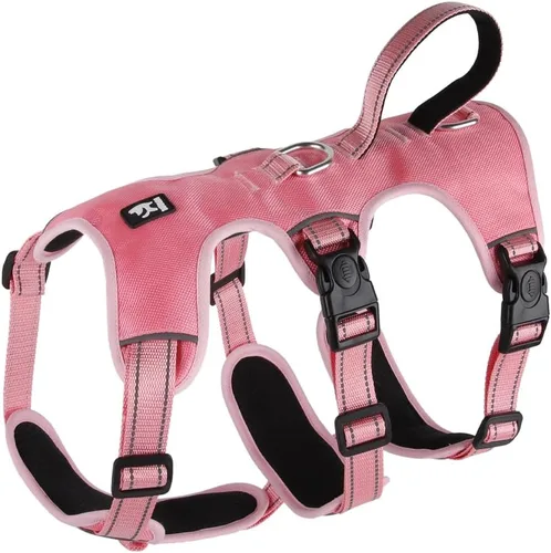 Miniatura 11 de FEimaX Arnés para perro sin tirones, chaleco acolchado suave para perro con 3 clips para la correa y asa de fácil control, reflectante ajustable sin