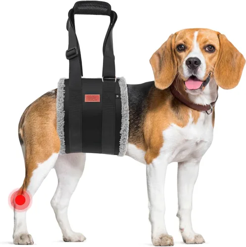 Miniatura 11 de Arnés Ajustable de Elevación para Perros, Cabestrillo para Perros Grandes con Soporte de Elevación y Arnés de Rehabilitación para Patas Traseras