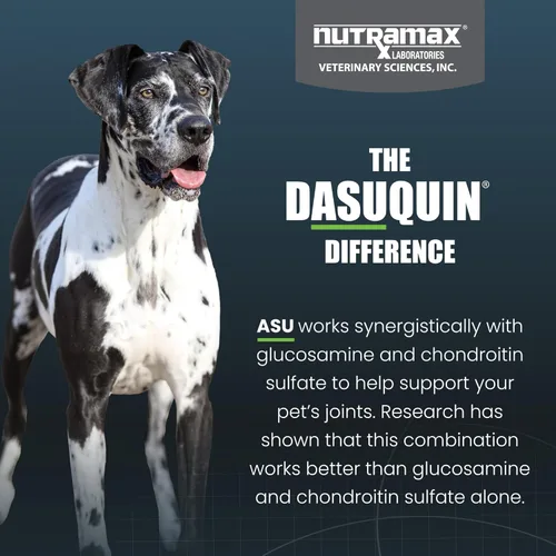 Miniatura 6 de Nutramax Dasuquin con MSM masticables, perro grande, 150