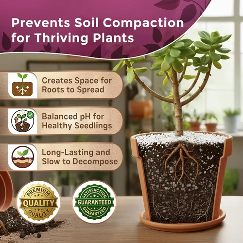 Miniatura 5 de Perlita Profesional Grande 2.2 Cuartos Grado Medio para Plantas de Contenedor y Jardín Aditivo de Suelo Ligero pH Neutro Fabricado en EE.UU