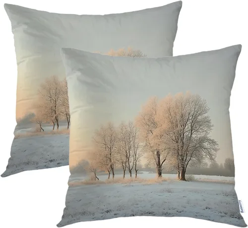 Miniatura 38 de Batmerry Juego de 2 fundas de almohada decorativas con estampado floral gris y blanco de 18 x 18 pulgadas, estilo victoriano con patrón de flores