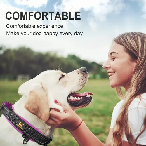 Miniatura 3 de DAGANXI Collar para perro, ajustable, de neopreno suave, acolchado, transpirable, tira reflectante, collar de nailon para perros pequeños, medianos