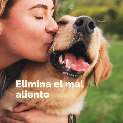 Miniatura 5 de Wondercide Rescue - Spray oral para perros y gatos – Refresca el aliento, calma las encías, cuidado dental diario sin alcohol con hipocloroso puro