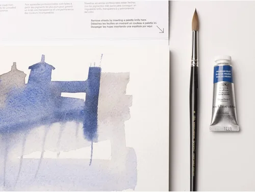 Miniatura 425 de Winsor & Newton - Pintura para acuarela profesional Tinte neutro