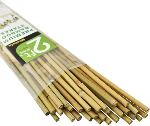 Mininfa Estacas de bambú natural de 2 pies, estacas ecológicas para jardín, estacas para plantas, soportes para escalada para tomates, árboles,