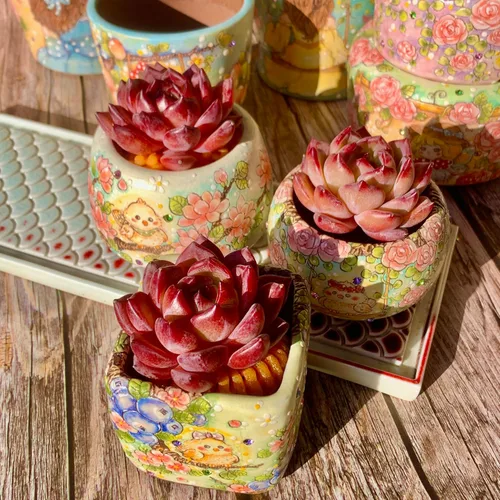 Miniatura 15 de Echeveria - Kit de suculentas de vino tinto y champán, con maceta de plástico, 1 cabeza de planta viva de 2 pulgadas, suelo comprimido y guía