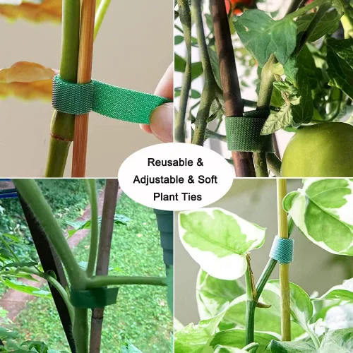 Miniatura 3 de Yowlieu 20 estacas de bambú natural + 1 rollo de lazos de jardín, palos de bambú de 18 pulgadas, estacas de apoyo para plantas de interior, tomate