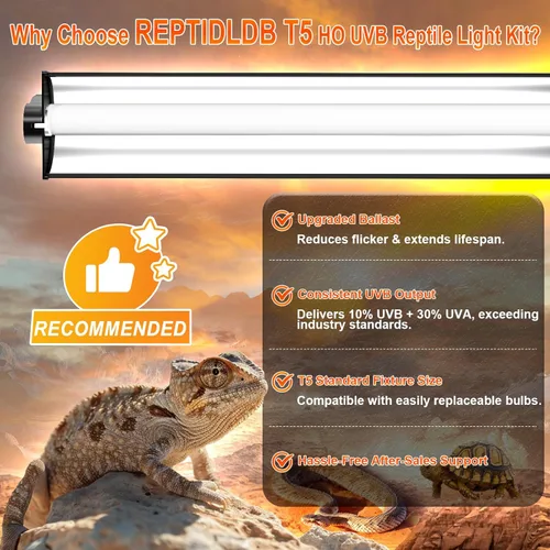 Miniatura 2 de Kit combinado de lámpara de reptil UVB T5 de 24 W - Tubo fluorescente UVB 10.0 para dragones barbudos, lagartos y tortugas - Luz de reptil UVA UVB