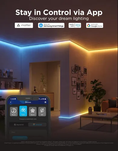 Miniatura 3 de Govee RGBIC - Tira de luces LED de 9.8 pies con cubiertas, luces LED inteligentes que funcionan con Alexa y Google Assistant, canal difusor