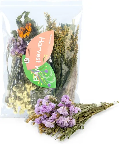 Niteangel Ropa de cama de hámster natural y suave, decoración de hábitat de animales pequeños para hámsteres enanos sirios, jerbos, ratones,