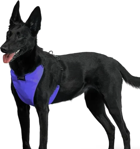 Miniatura 12 de YAP Techno® - Arnés para perro sin tirones, ajustable en 4 direcciones, arnés de chaleco para perro con control de temperatura, arnés para perro sin