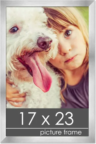 Miniatura 21 de Poster Palooza Marco de madera de peltre plateado de 3 x 4 pulgadas, acrílico UV, respaldo de tablero de espuma y accesorios para colgar, marco de 3