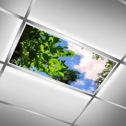 Miniatura 18 de Inserto de Cubierta de Luz de Techo Suspendido 4' x 2' pies (Naturaleza Bosque Hojas de Bambú Sol Verde) - Cubierta de Luz Fluorescente Reduce