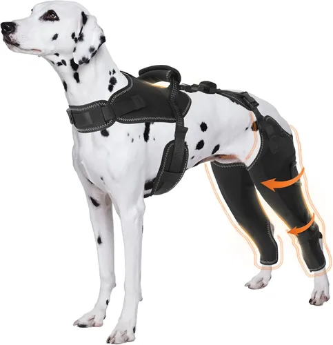 Perro Acl Brace pata trasera – Mantiene las articulaciones calientes y protegidas, piernas y caderas ajustables mejoradas, juego de arnés para la