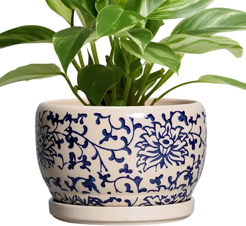 Miniatura 18 de SQOWL Macetas de cerámica – Maceta de 6 pulgadas con orificio de drenaje y bandeja, maceta redonda para plantas de interior, maceta decorativa