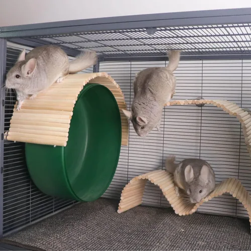 Miniatura 2 de YKD Chinchilla - Juguete de plataforma flexible de madera de abedul natural, valla de rueda de chinchilla, juguetes de escalada de animales pequeños