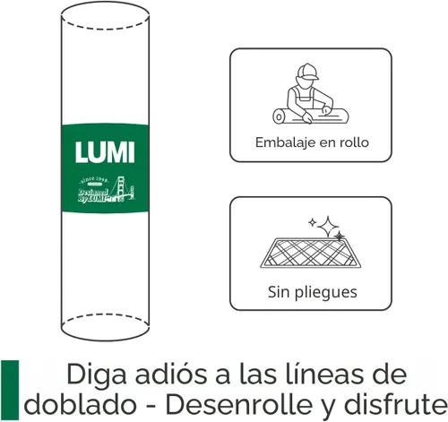 Miniatura 9 de LUMI Tapete ultradelgado para puerta de interior de 17 x 30 pulgadas, tapete de entrada antideslizante, tapete de perfil bajo, tapete de diseño