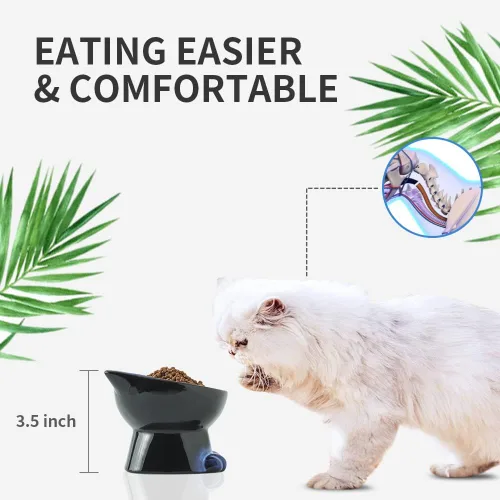 Miniatura 4 de Nihow Cuencos elevados inclinados para gatos: cuenco elevado de cerámica de 5 pulgadas para proteger la columna vertebral de las mascotas, apto