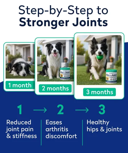 Miniatura 6 de Golosinas de glucosamina para perros quisquillosos - Suplemento para articulaciones con condroitina, MSM, omega-3 - Alivio del dolor articular